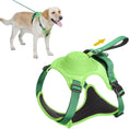 Load image into Gallery viewer, Anti-Burst Impact Harness and Retractable Leash Set on a happy dog showcasing green harness designed for tangle-free-Littlepawgive
