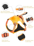 Load image into Gallery viewer, Anti-Burst Impact Harness with retractable leash adjustable buckles breathable mesh and anti-shock module-Littlepawgive
