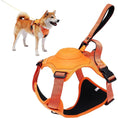 Load image into Gallery viewer, Anti-Burst Impact Harness and Retractable Leash set for dogs featuring a durable orange harness and flexible anti-twist rope -Littlepawgive
