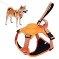 Load image into Gallery viewer, Anti-Burst Impact Harness and Retractable Leash- Set All-in-One for Comfortable and Tangle-Free Dog Walks -Littlepawgive
