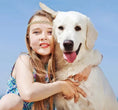 Load image into Gallery viewer, Girl hugging a happy golden retriever dog in a sunny outdoor setting, showcasing their joyful bond.
