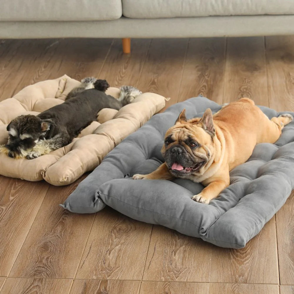 3-in-1 Cozy Pet Bed - Perfect for Cats & Dogs