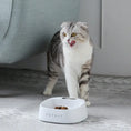 Load image into Gallery viewer, Smart Pet Feeding Bowl with Digital Weighing & Antibacterial Technology
