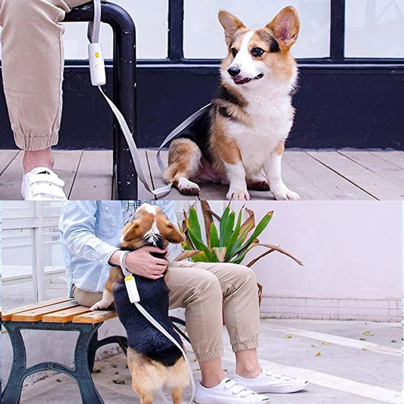 Retractable Dog Leash with Safety Lock