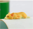 Load image into Gallery viewer, Adorable 3D Corgi Ceramic Mug - Perfect Gift for Pet Lovers
