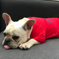 Load image into Gallery viewer, Pet & Owner Matching Outfits - Perfect Harmony
