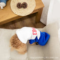 Load image into Gallery viewer, Pet & Owner Matching Hoodies - Cozy & Stylish
