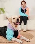 Load image into Gallery viewer, Matching Dog and Owner Hoodies – Soft & Warm Pet Sweatshirt for All Breeds, Cozy Winter Dog Hoodie in Black
