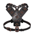 Load image into Gallery viewer, Premium Leather Dog Harness for Medium & Large Breeds
