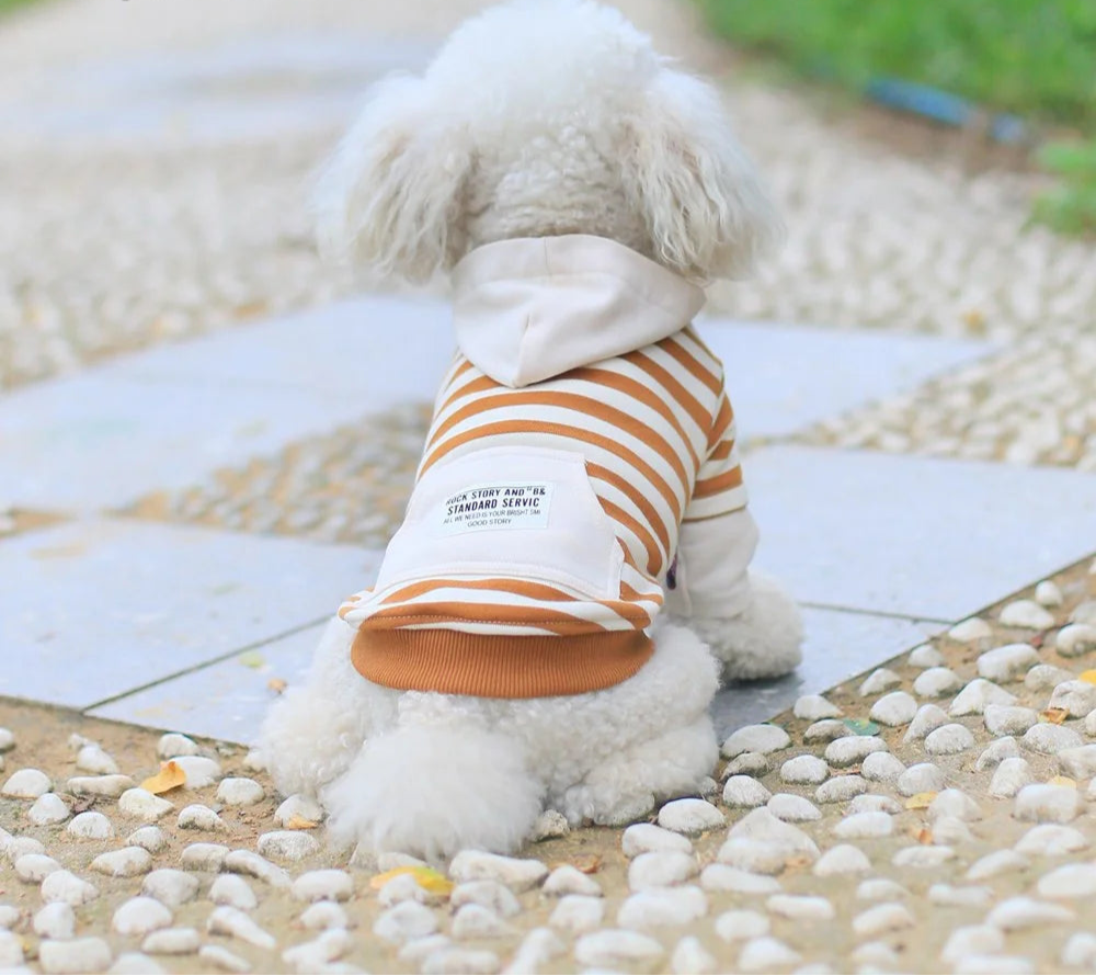 Striped Hooded Dog & Owner Matching Outfits - Spring/Summer