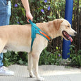 Load image into Gallery viewer, No-Pull Dog Harness & Leash Set
