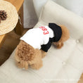 Load image into Gallery viewer, Pet & Owner Matching Hoodies - Cozy & Stylish
