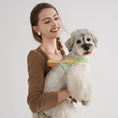 Load image into Gallery viewer, No-Pull Comfort Dog Harness - Black & White Stripes
