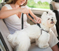 Load image into Gallery viewer, Adjustable Dog Car Seat Belt - Secure & Comfortable
