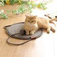Load image into Gallery viewer, Cat Scratcher Mat - Durable & Fun Claw Care
