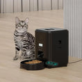 Load image into Gallery viewer, Smart pet feeder for cats with a gray tabby cat beside it, showcasing automatic feeding convenience.
