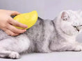 Load image into Gallery viewer, Cat Dog Steamy Brush Steam Brush Electric Sprayer for Massage Pet Grooming tool Shedding 3 in 1 Electric Sprays Massage Combs - littlepawgive
