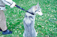 Load image into Gallery viewer, Control Dog Traffic Lead with Padded Handle
