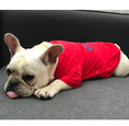 Load image into Gallery viewer, Pet & Owner Matching Outfits - Perfect Harmony
