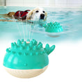 Load image into Gallery viewer, Interactive Floating Water Spray Dog Toy
