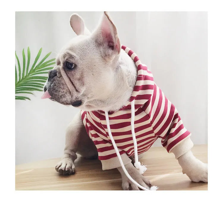 autumn winter fleece pet clothes dog hooded pet parent-child clothing stripe French Teddy small dog cat clothing
