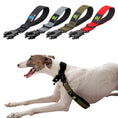 Load image into Gallery viewer, Control Dog Traffic Lead with Padded Handle
