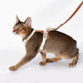 Load image into Gallery viewer, Cat wearing an anti-lost leather harness and leash, exploring confidently outdoors.
