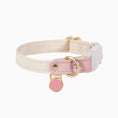 Load image into Gallery viewer, Customizable leather cat harness with pink accents and nameplate for personalization.
