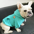 Load image into Gallery viewer, Pet & Owner Matching Hoodies - Pure Cotton Comfort
