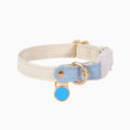Load image into Gallery viewer, Elegant beige and blue cat collar with adjustable design and blue name tag for personalization.
