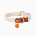 Load image into Gallery viewer, Anti-lost cat leather harness with adjustable nameplate and orange tag, designed for comfort and safety.
