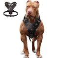 Load image into Gallery viewer, Premium Leather Dog Harness for Medium & Large Breeds
