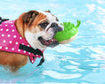Load image into Gallery viewer, Interactive Floating Water Spray Dog Toy
