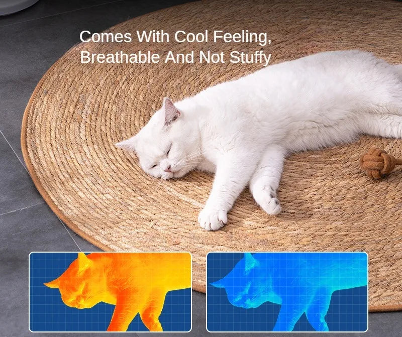 Cat Scratcher Rattan Mat - Furniture Protector