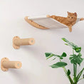 Load image into Gallery viewer, Cat lounging on a wall-mounted hammock with sisal scratching posts and greenery in a cozy home setting.
