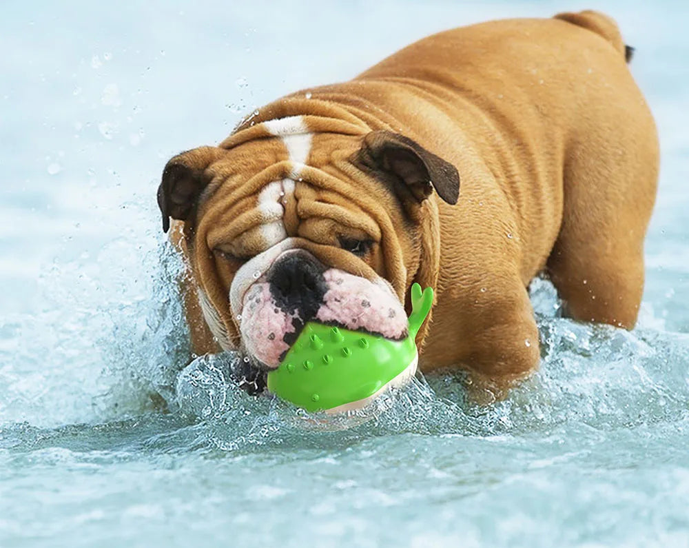 Interactive Floating Water Spray Dog Toy