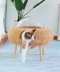 Load image into Gallery viewer, Space Capsule Rattan Cat Nest – Comfort for Your Feline
