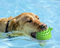 Load image into Gallery viewer, Interactive Floating Water Spray Dog Toy

