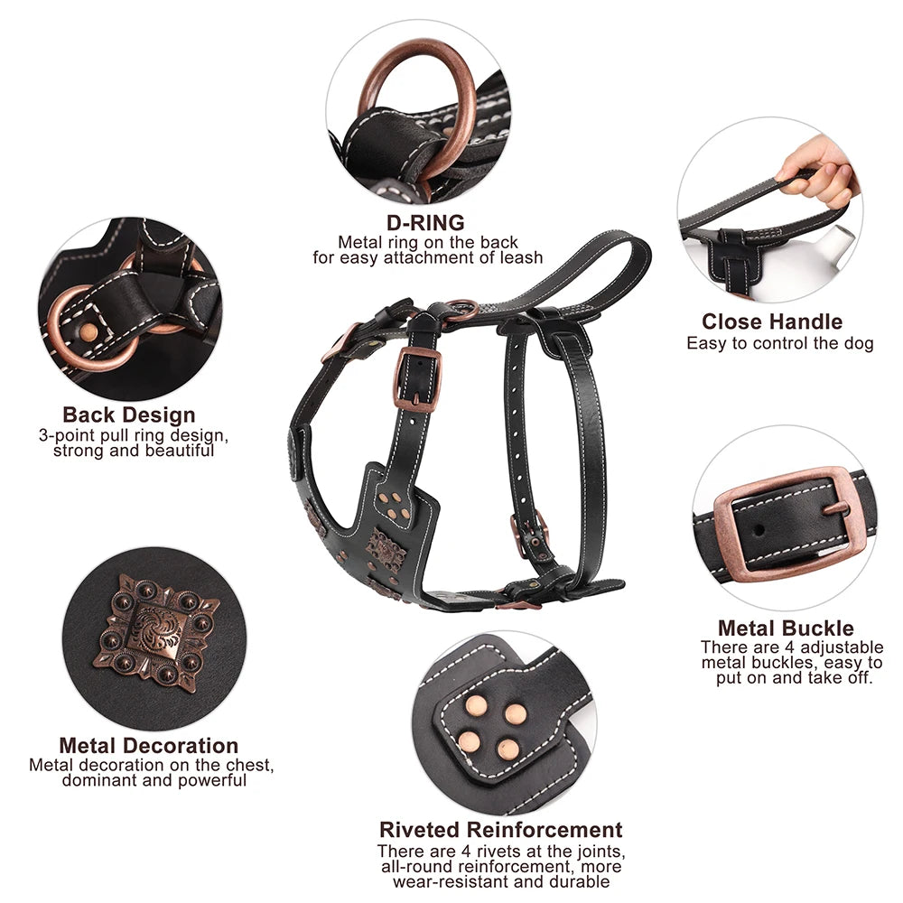 Premium Leather Dog Harness for Medium & Large Breeds