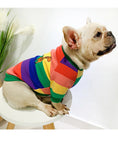 Load image into Gallery viewer, Pet & Owner Matching Outfits - Cozy Autumn/Winter Wear
