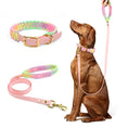 Load image into Gallery viewer, Vibrant Dog Collar & Leash Set - Ultimate Control & Style

