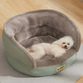 Load image into Gallery viewer, Cozy white dog lounging in the plush Comfort Four Seasons Pet Sofa Bed on a wooden floor.
