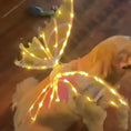 Load image into Gallery viewer, Dog wearing light-up electric butterfly wings costume for cosplay and special occasions.
