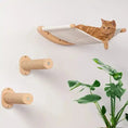 Load image into Gallery viewer, Cat lounging on a stylish wall-mounted hammock with sisal posts, showcasing the Cat Adventure Wall Set in a modern living space.
