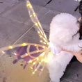 Load image into Gallery viewer, Dog wearing electric light-up butterfly wings costume, perfect for cosplay and special occasions, on a walk outside.
