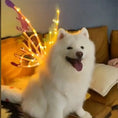 Load image into Gallery viewer, Fluffy dog wearing light-up butterfly wings as a stylish costume for special occasions or cosplay events.
