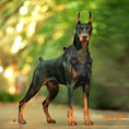 Load image into Gallery viewer, Premium Leather Dog Harness for Medium & Large Breeds
