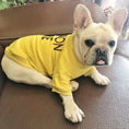 Load image into Gallery viewer, Pet & Owner Matching Cotton Sweaters
