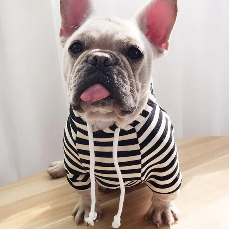 autumn winter fleece pet clothes dog hooded pet parent-child clothing stripe French Teddy small dog cat clothing