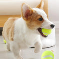 Load image into Gallery viewer, Cute dog playing with automatic interactive pet toy and tennis ball indoors
